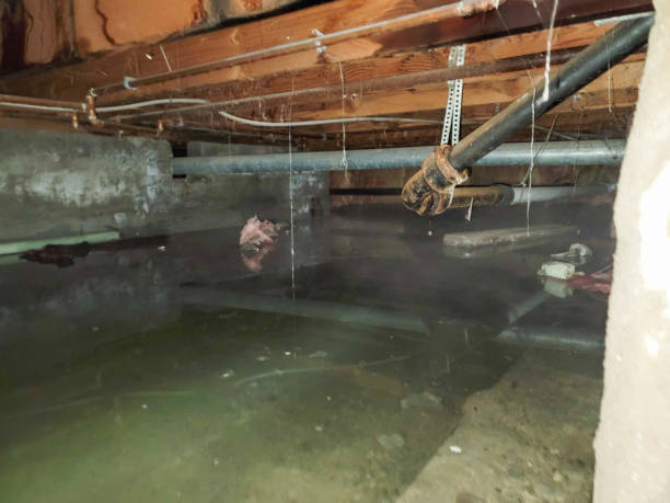 Best Water damage restoration near me  in Vineland, NJ