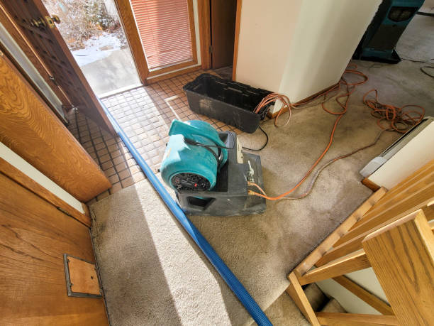 Best 24-hour water damage restoration  in Vineland, NJ