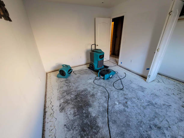 Best Sewage cleanup and water damage restoration  in Vineland, NJ