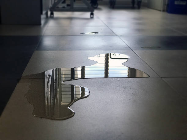 Best Professional water damage repair  in Vineland, NJ