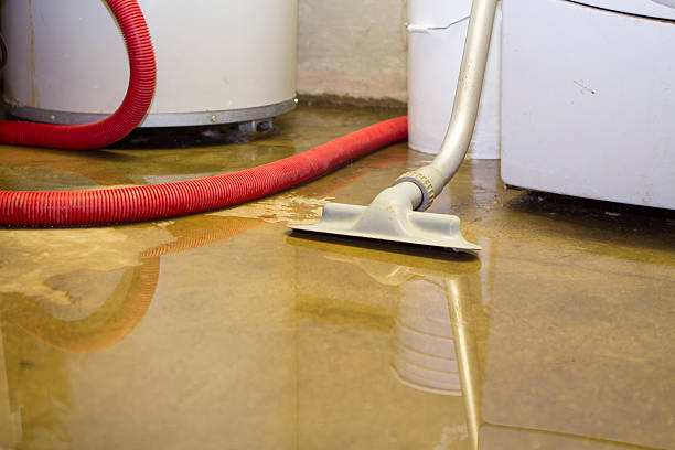 Best Water damage restoration near me  in Vineland, NJ