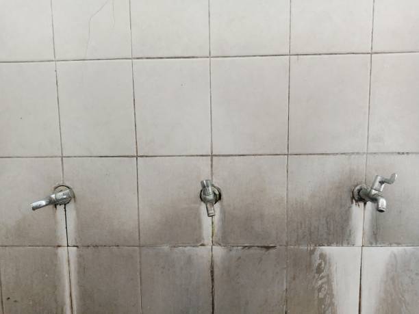 Best Carpet water damage restoration  in Vineland, NJ