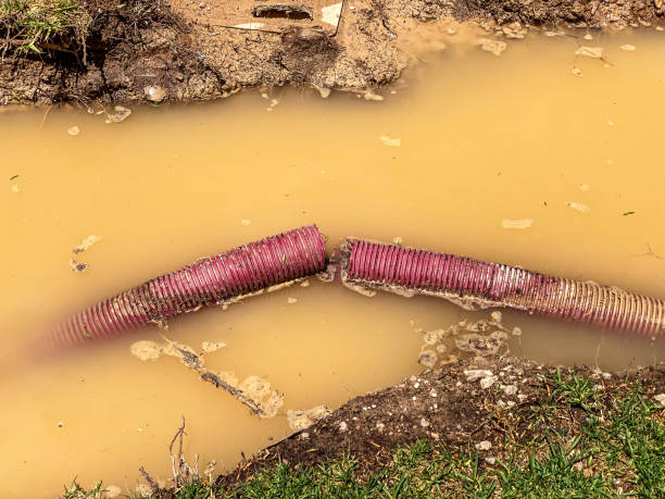 Best Flood restoration services  in Vineland, NJ