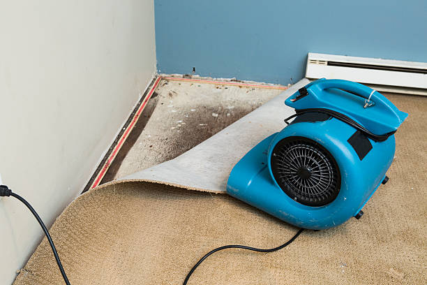 Best Flooded house restoration  in Vineland, NJ